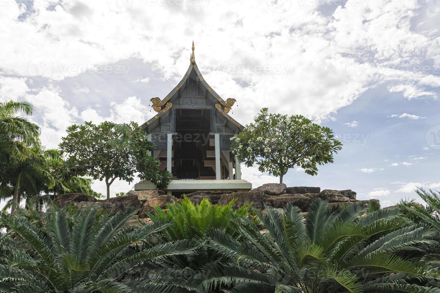 nong nooch tropisch tuin foto