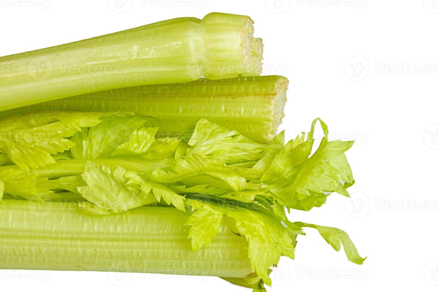 vers groen selderij groente foto