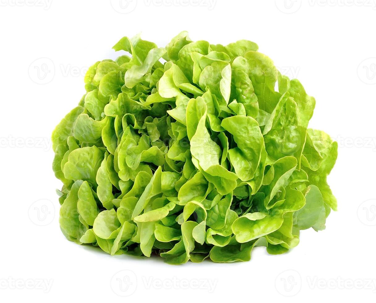sla salade geïsoleerd Aan wit achtergronden foto