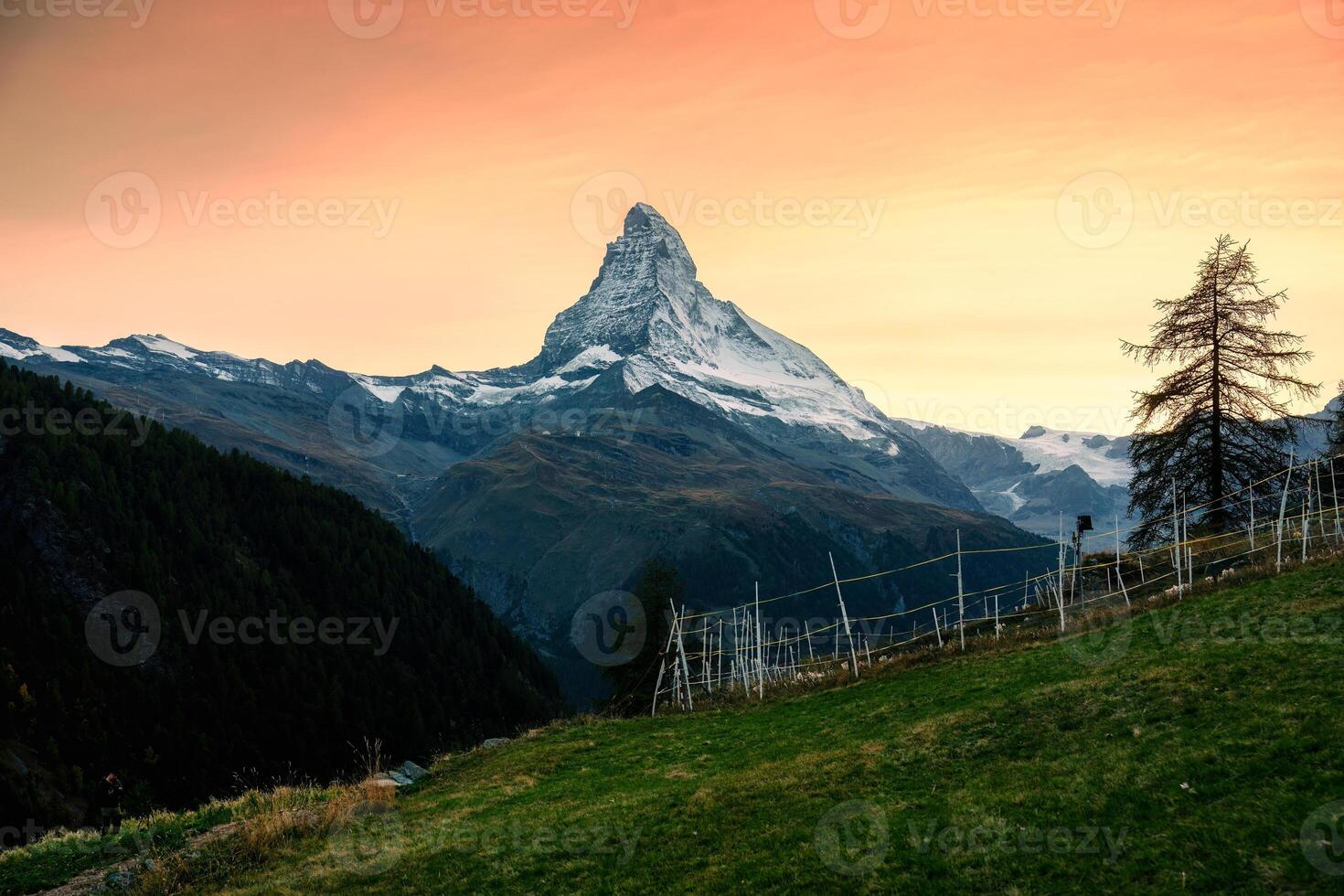 zonsondergang lucht over- matterhorn berg Aan Zwitsers Alpen en kraam van schapen Aan heuvel in landelijk tafereel foto