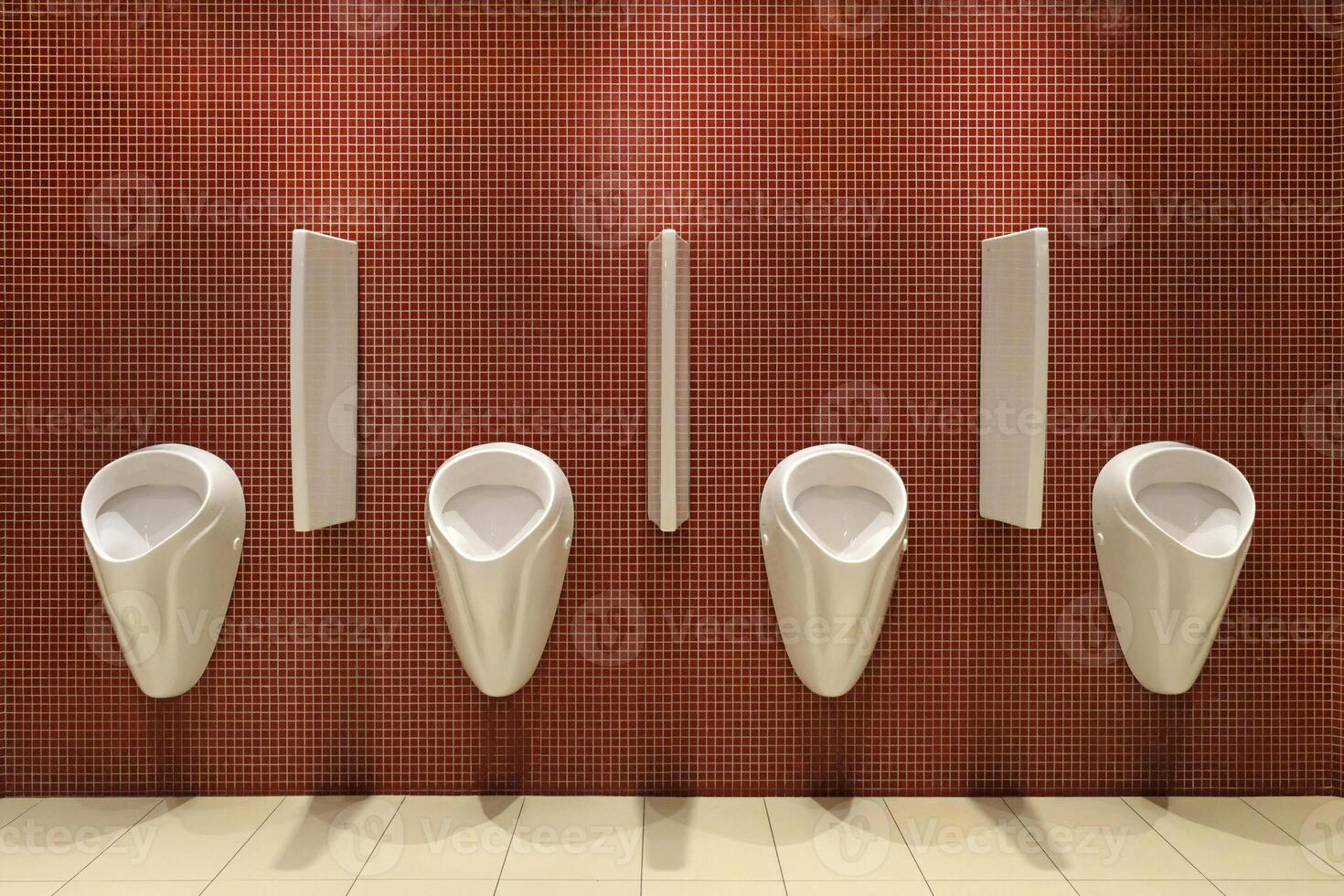 urinoirs in een Mannen toilet foto