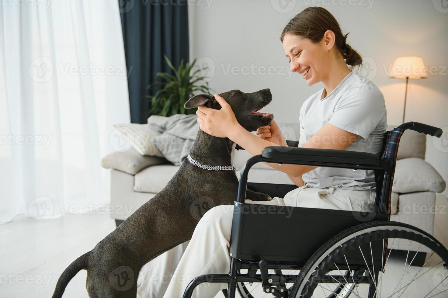 jong vrouw in rolstoel met onderhoud hond Bij huis foto
