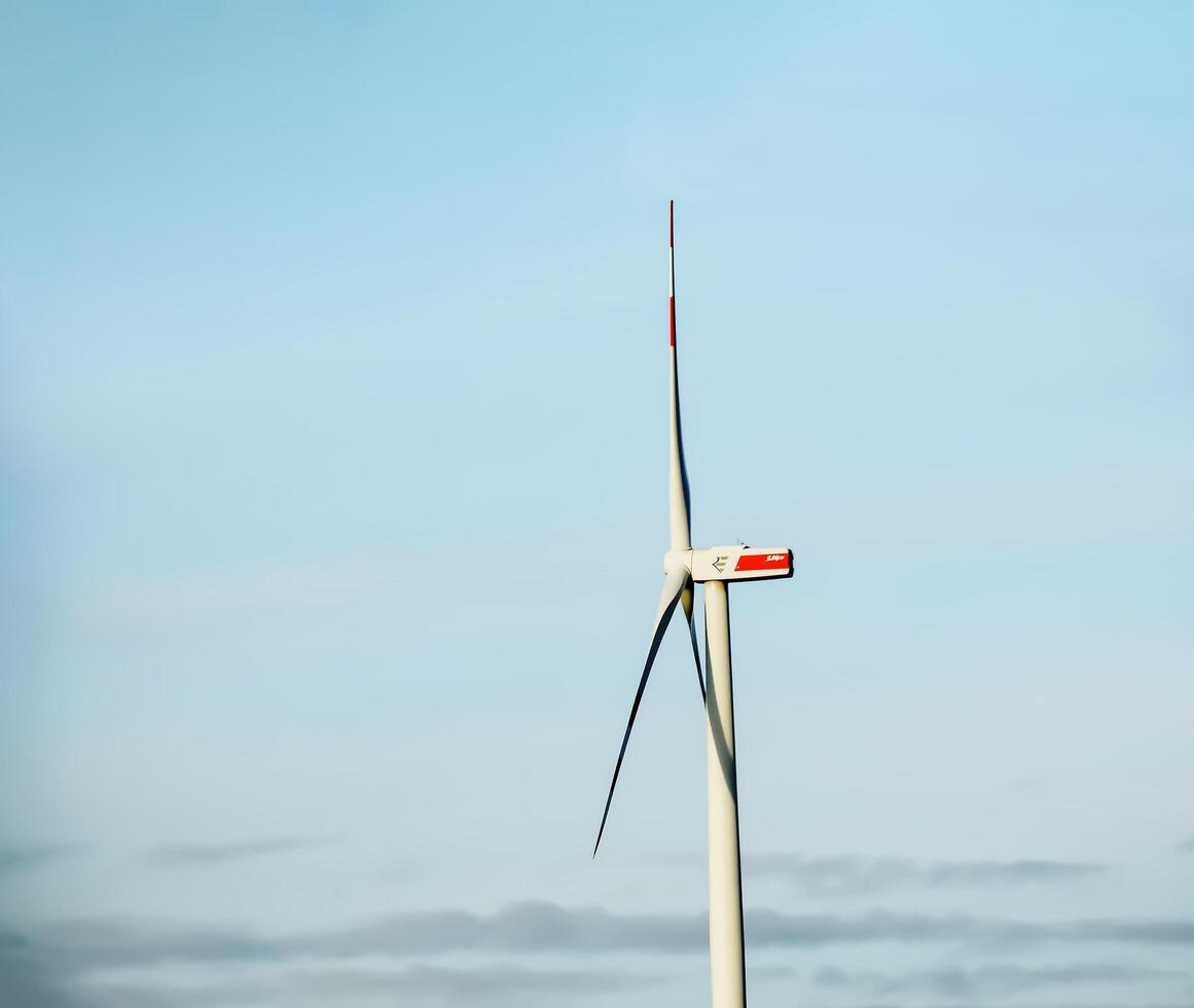 wind boerderij park De volgende naar een weg in Oostenrijk in zonnig het weer. foto