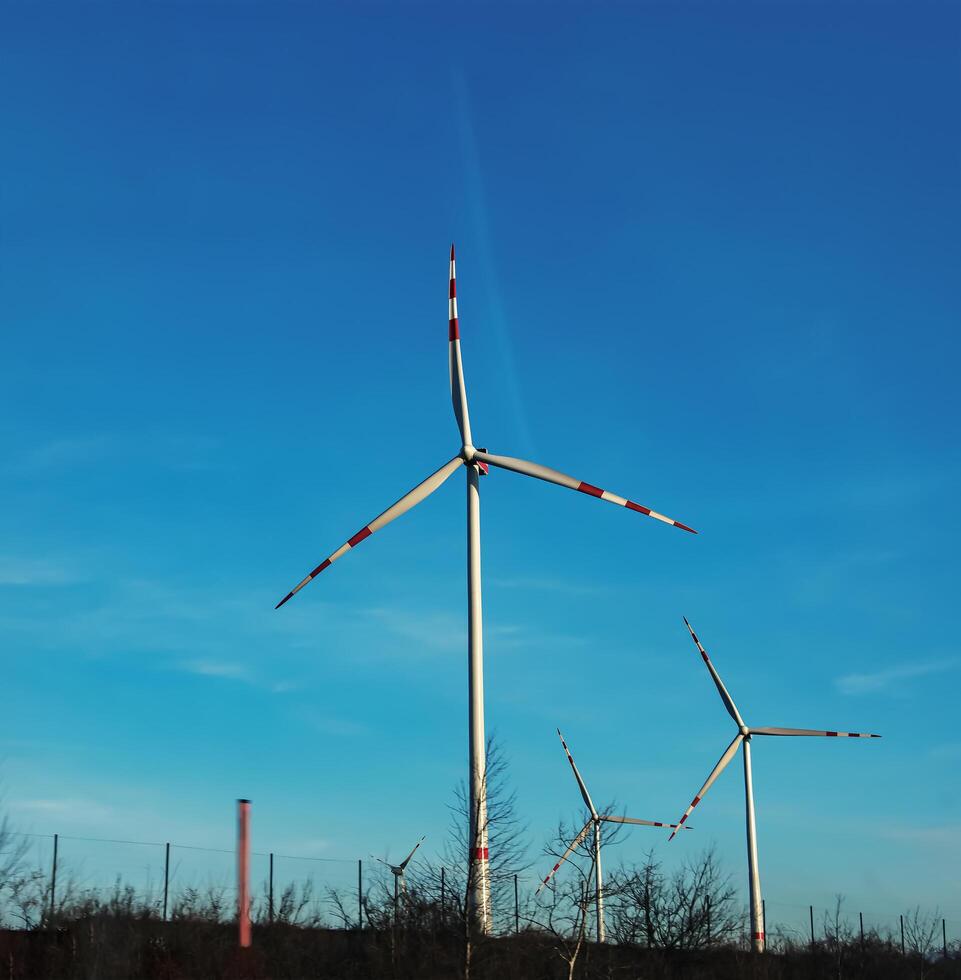 wind boerderij park De volgende naar een weg in Oostenrijk in zonnig het weer. foto