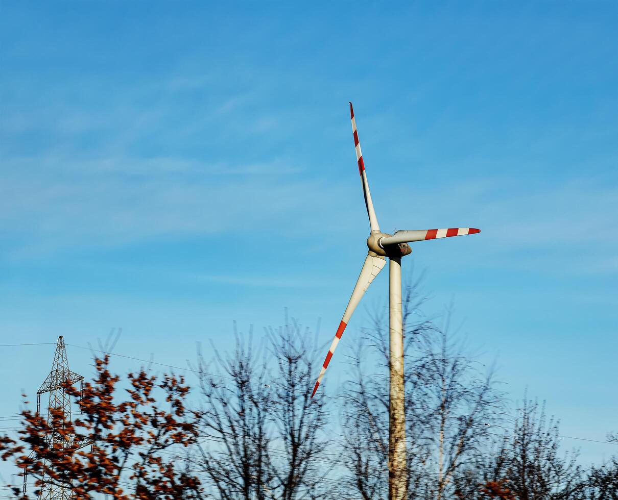 wind boerderij park De volgende naar een weg in Oostenrijk in zonnig het weer. foto