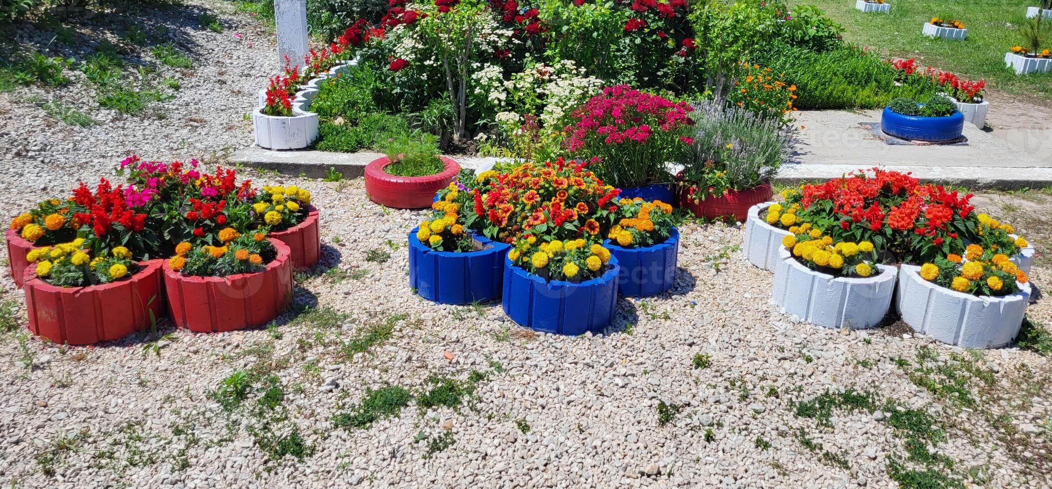 helder zomer bloemen in de binnenplaats Aan kleurrijk bloem bedden foto