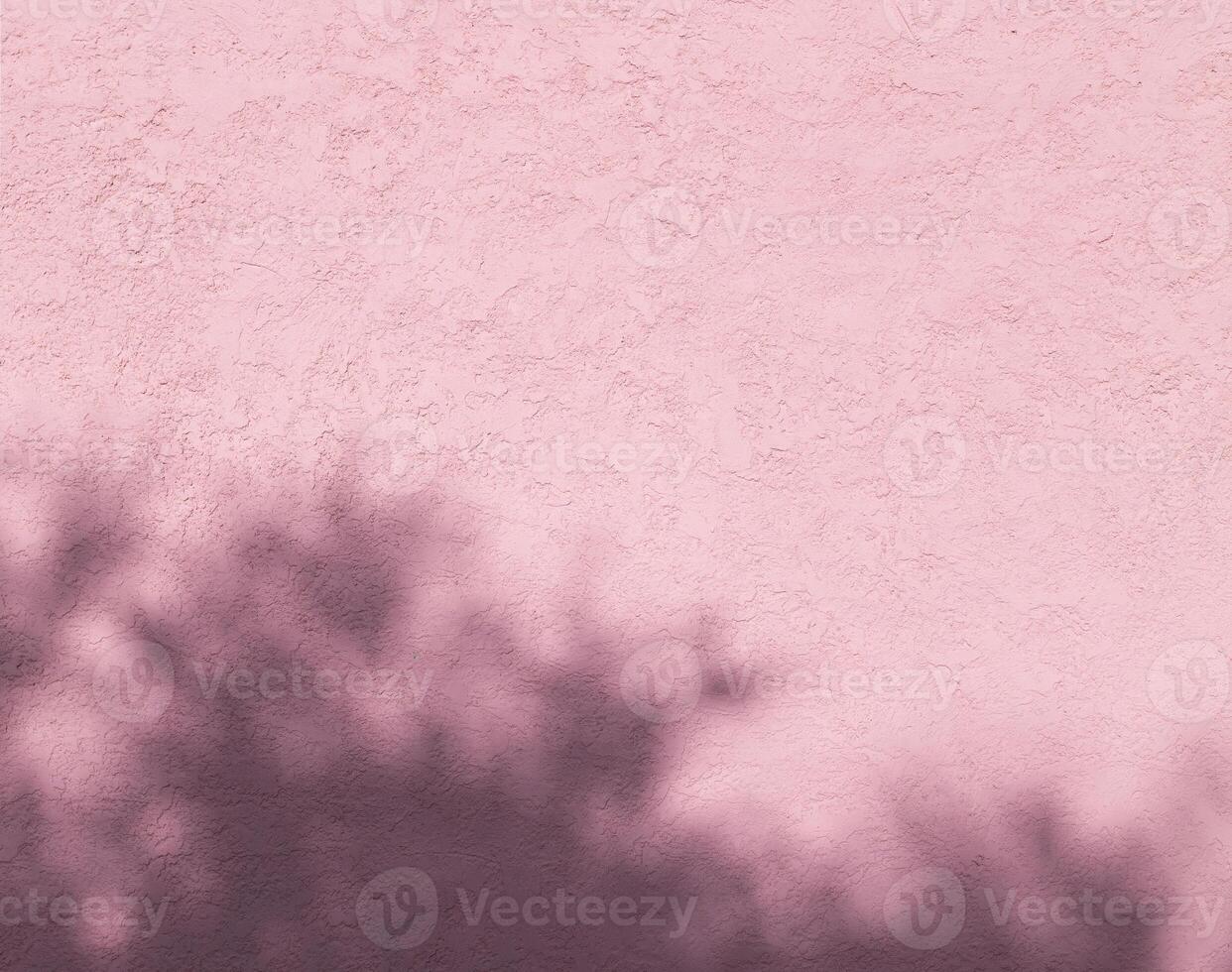 roze muur fotografie met zonlicht en schaduwen van bomen foto