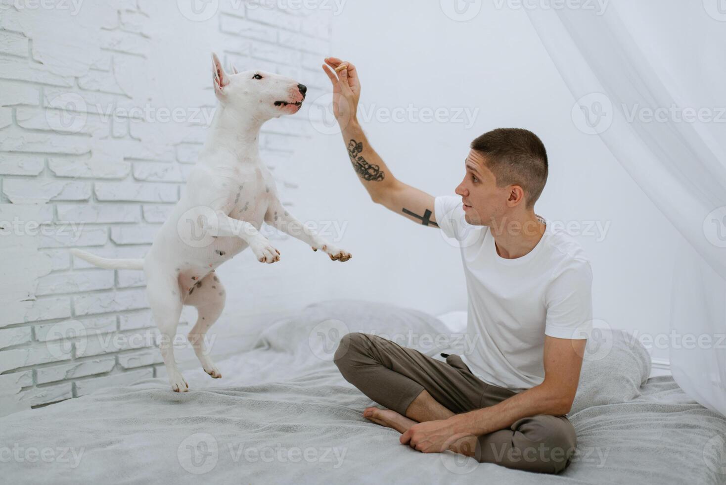 jong vent in een helder kamer Toneelstukken met een hond foto