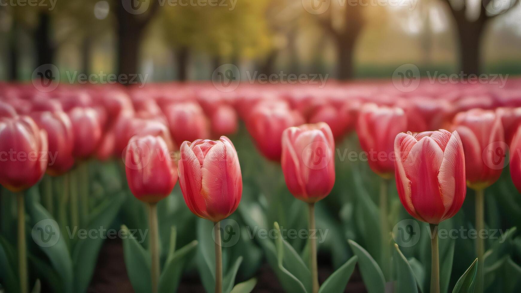 ai gegenereerd foto van tulp tuin clip art. ai gegenereerd