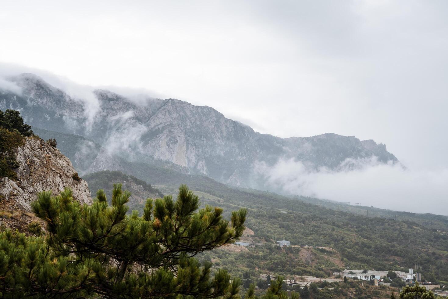 sfeervol berg landschap. de bergen zijn gedekt met mist, welke daalt af in de vallei. in de voorgrond is de top van de boom foto