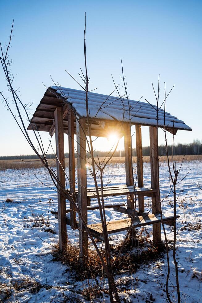 een klein Prieel in de buurt een met sneeuw bedekt veld. winter wandelen, zonsondergang zon. houten Prieel voor ontspanning foto