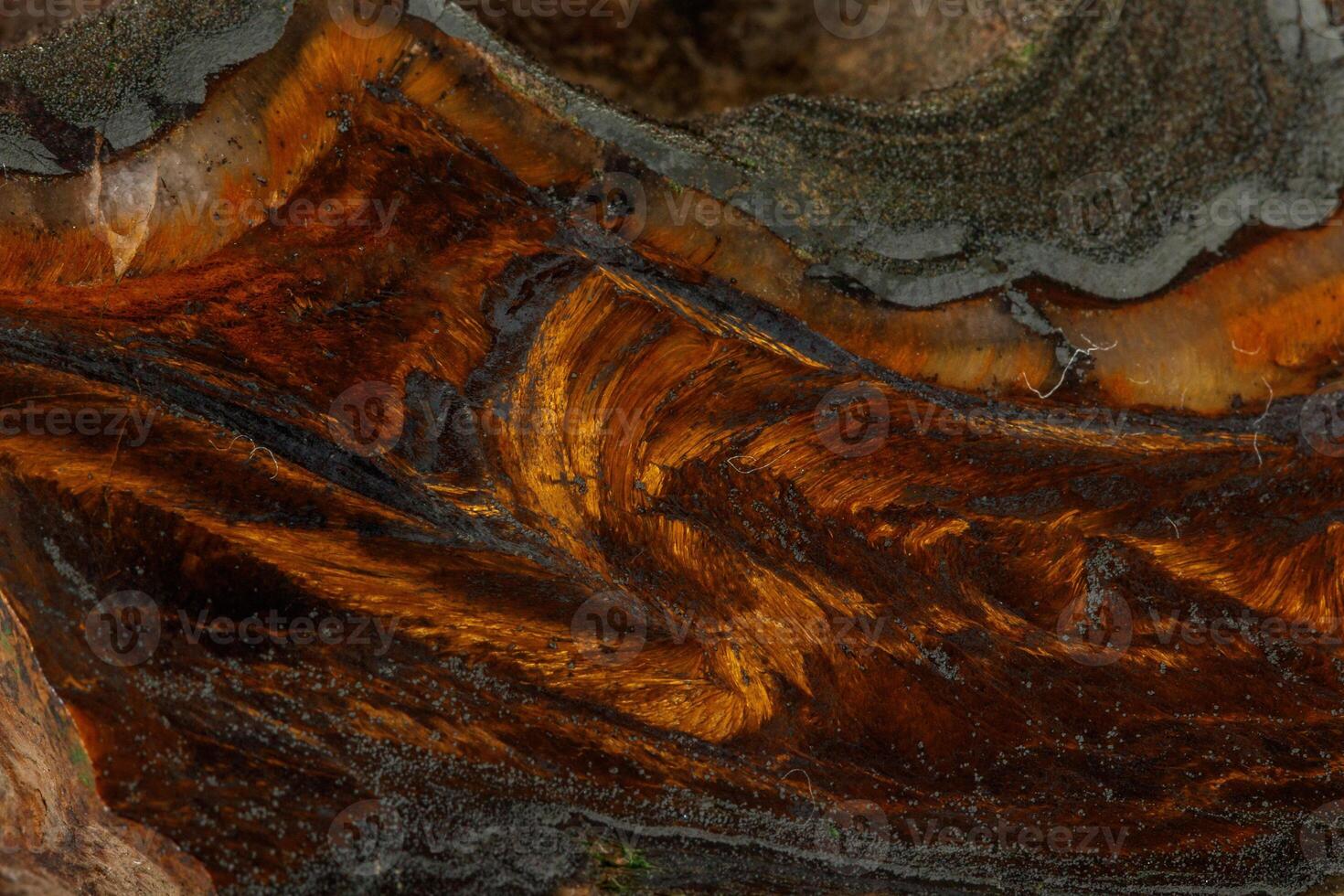 macro steen tijger oog mineraal in rots Aan zwart achtergrond foto
