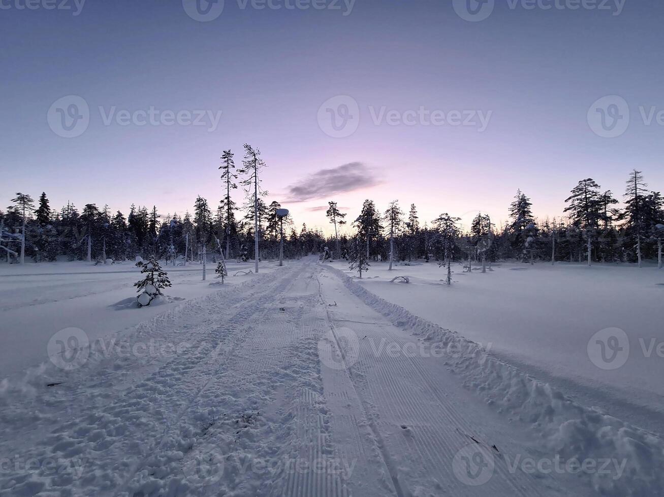 een besneeuwd weg in de midden- van een Woud foto