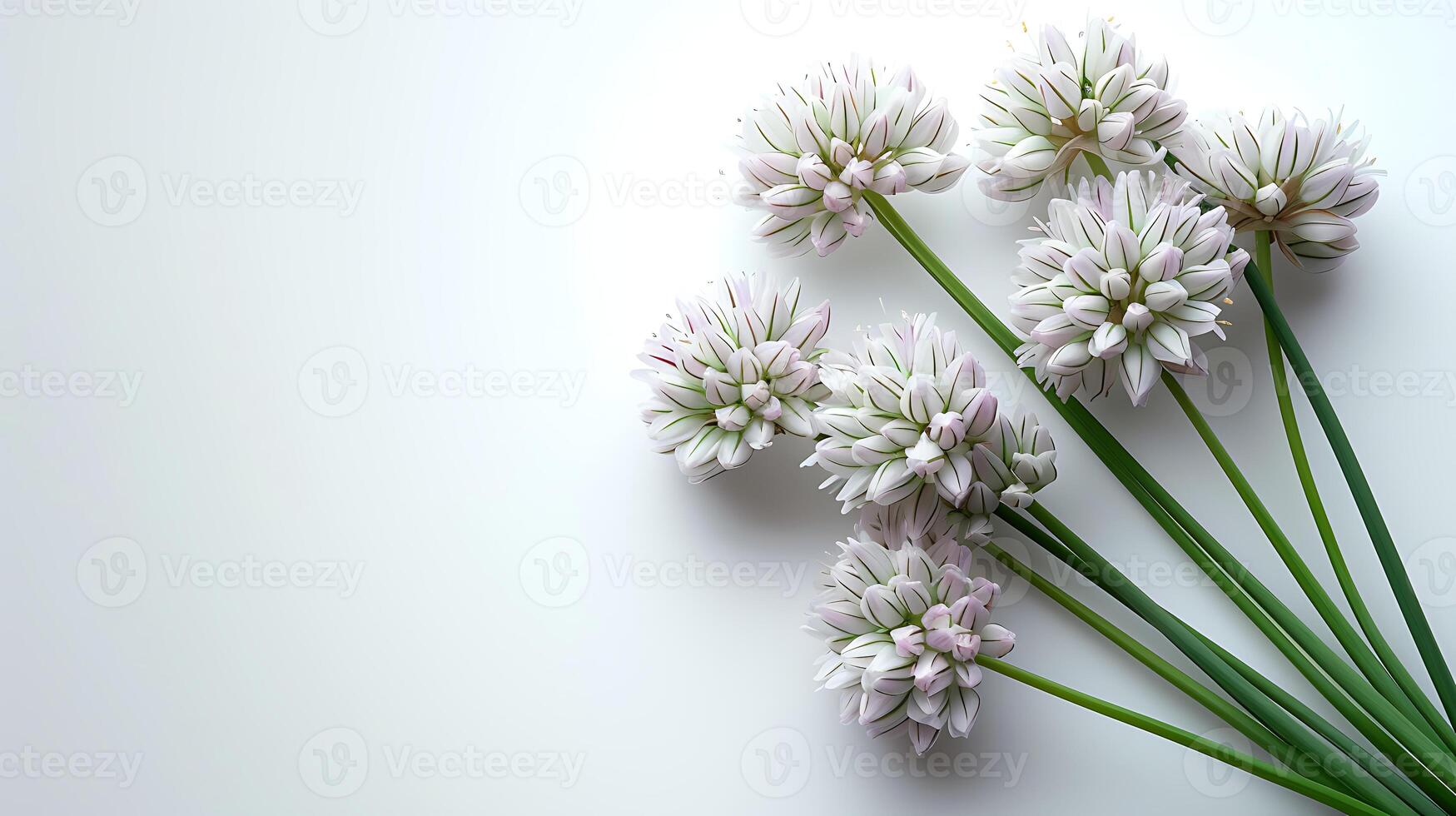 ai gegenereerd bieslook bloem Aan een wit achtergrond foto