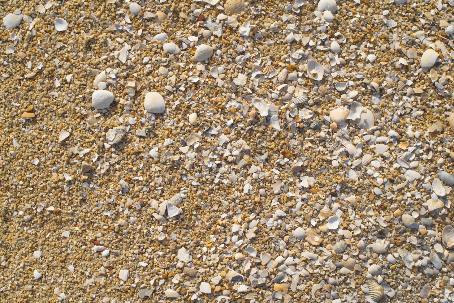 zee strand zand oppervlakte structuur foto