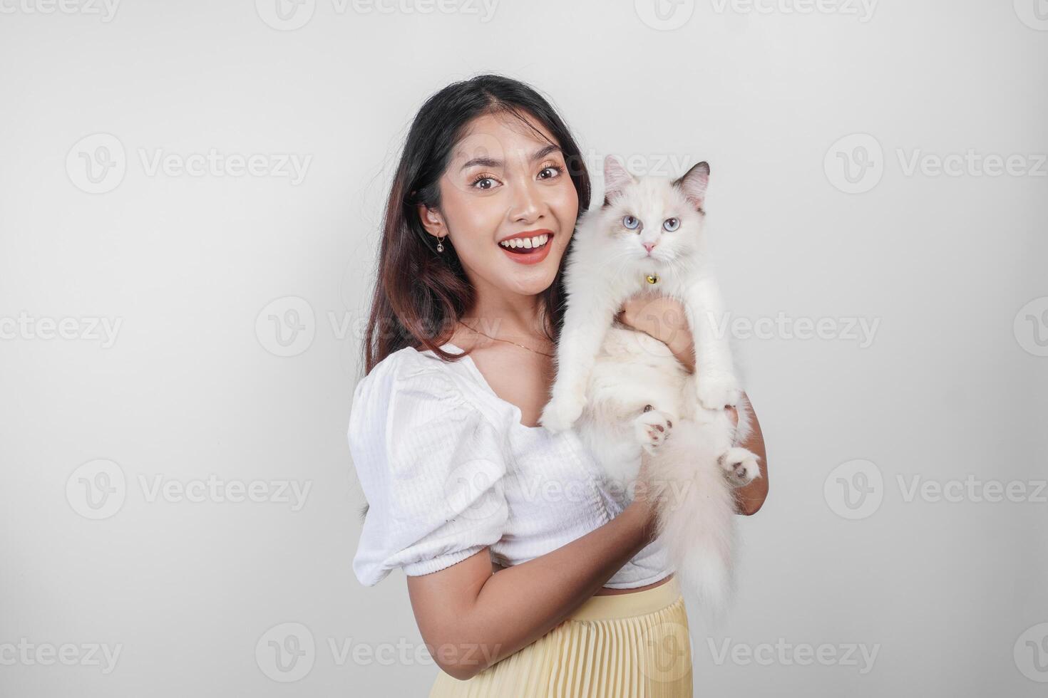 portret van jong Aziatisch vrouw Holding schattig lappenpop kat met blauw ogen. vrouw knuffelen haar schattig lang haar- pot geïsoleerd door wit achtergrond. aanbiddelijk huiselijk huisdier concept. foto