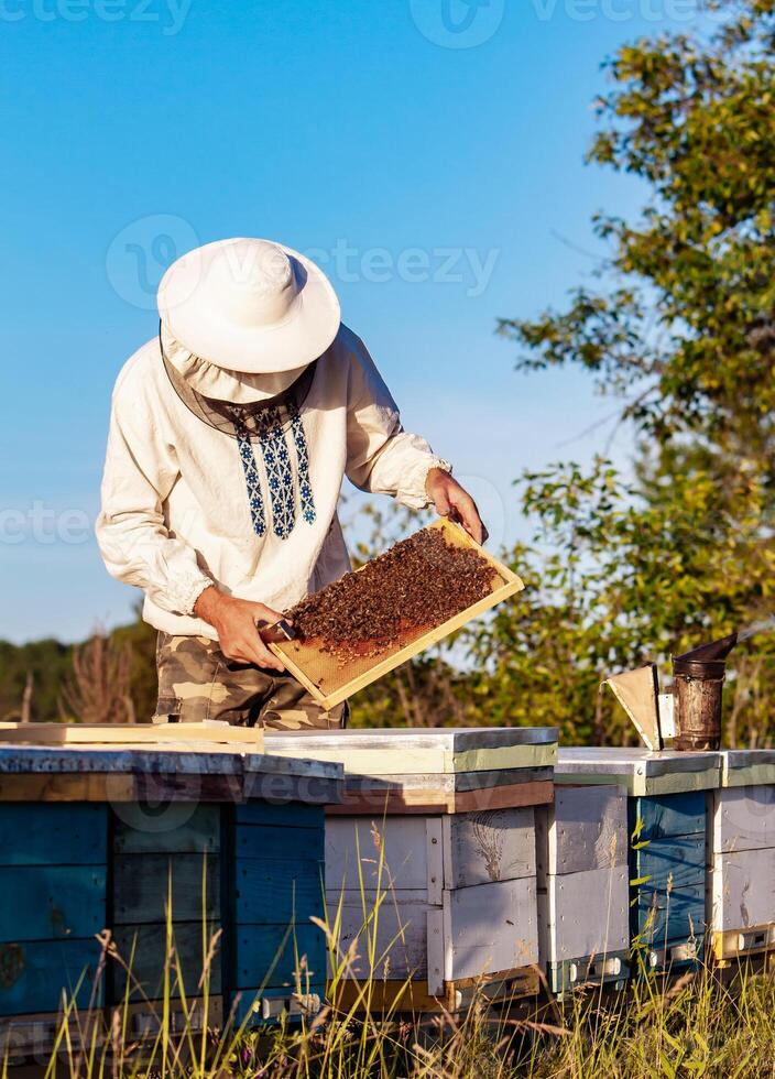 imker werken verzamelen honing. bijenteelt concept foto