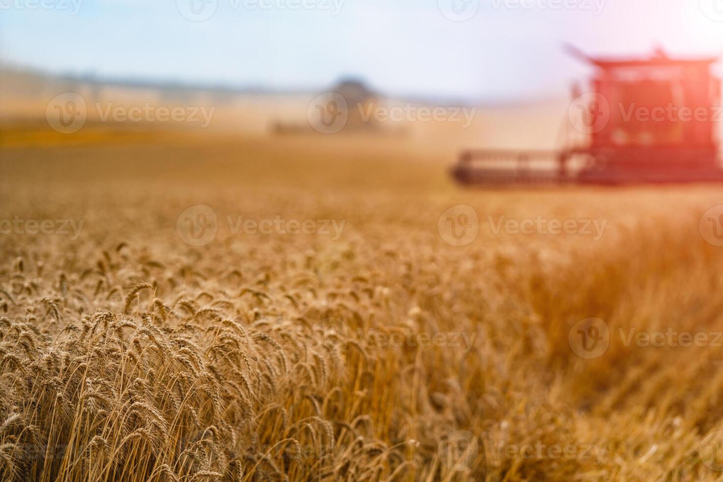 combineren oogster. oogsten machine voor oogsten een tarwe veld- foto