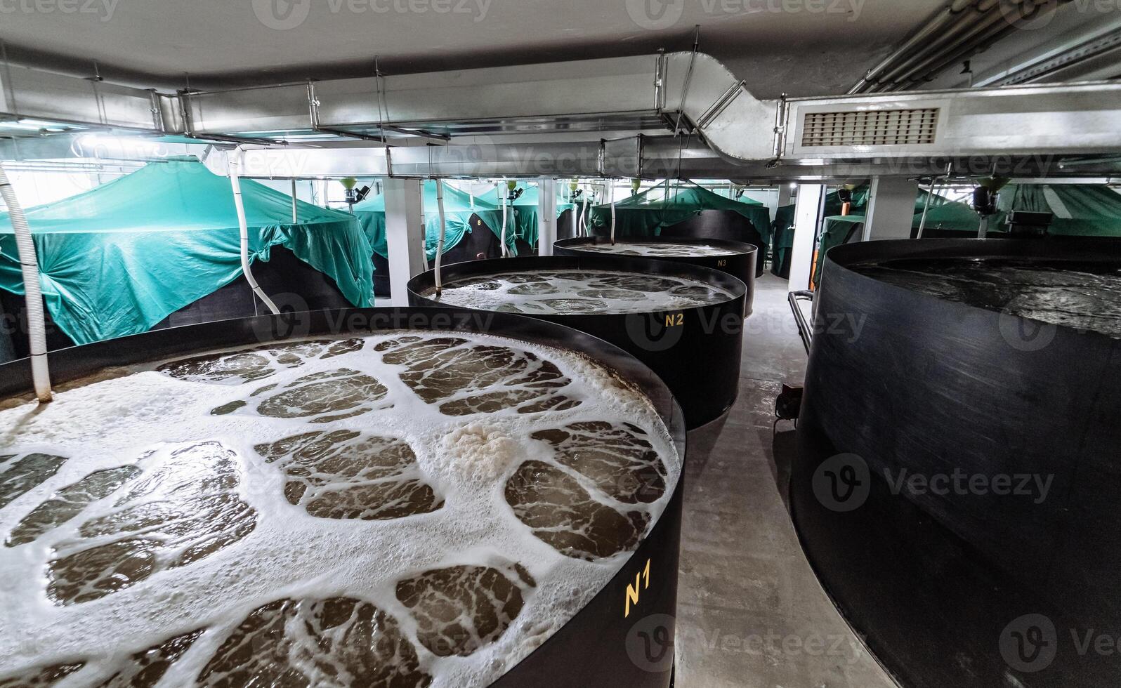 binnen een garnaal boerderij. vijver garnaal Gesloten systeem foto