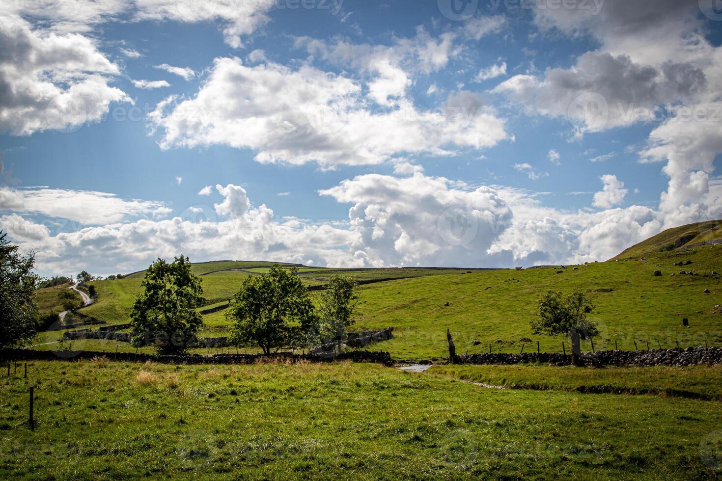 idyllisch platteland landschap met weelderig groen velden, bomen, en een Doorzichtig blauw lucht met pluizig wolken. foto