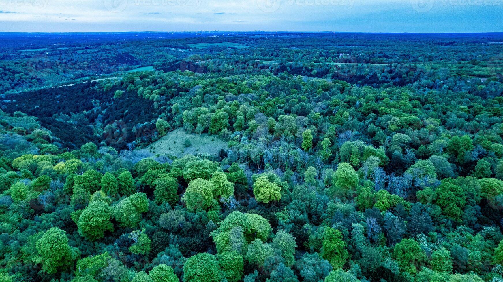 antenne visie van een weelderig groen Woud met een opruimen, presentatie van de dicht boom luifel en natuurlijk landschap. foto