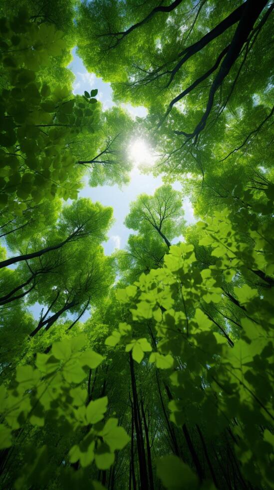 ai gegenereerd groen luifel visie van Woud bomen van hieronder in de lucht verticaal mobiel behang foto