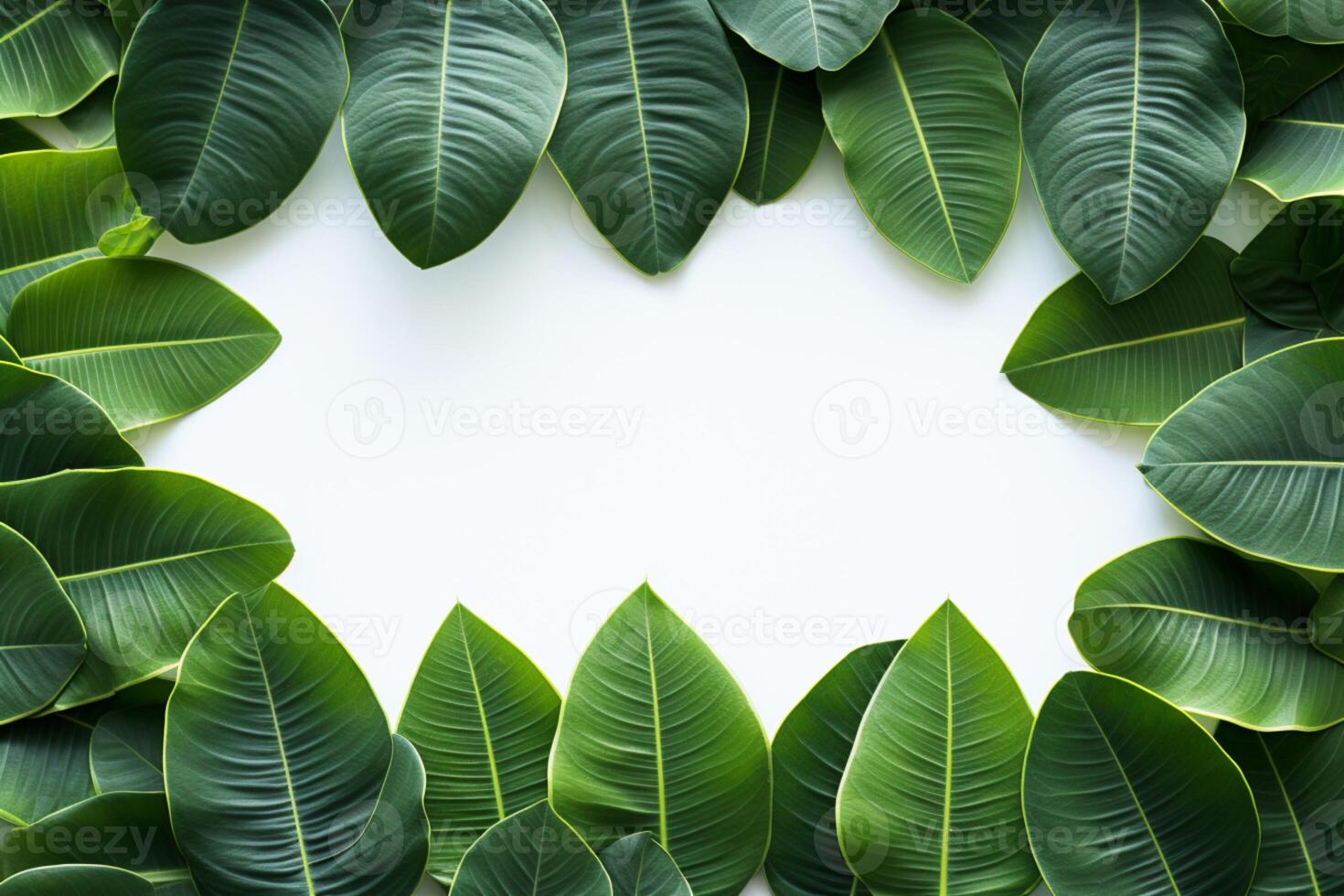 ai gegenereerd gezond kader groen plumeria blad grens geïsoleerd Aan wit achtergrond foto