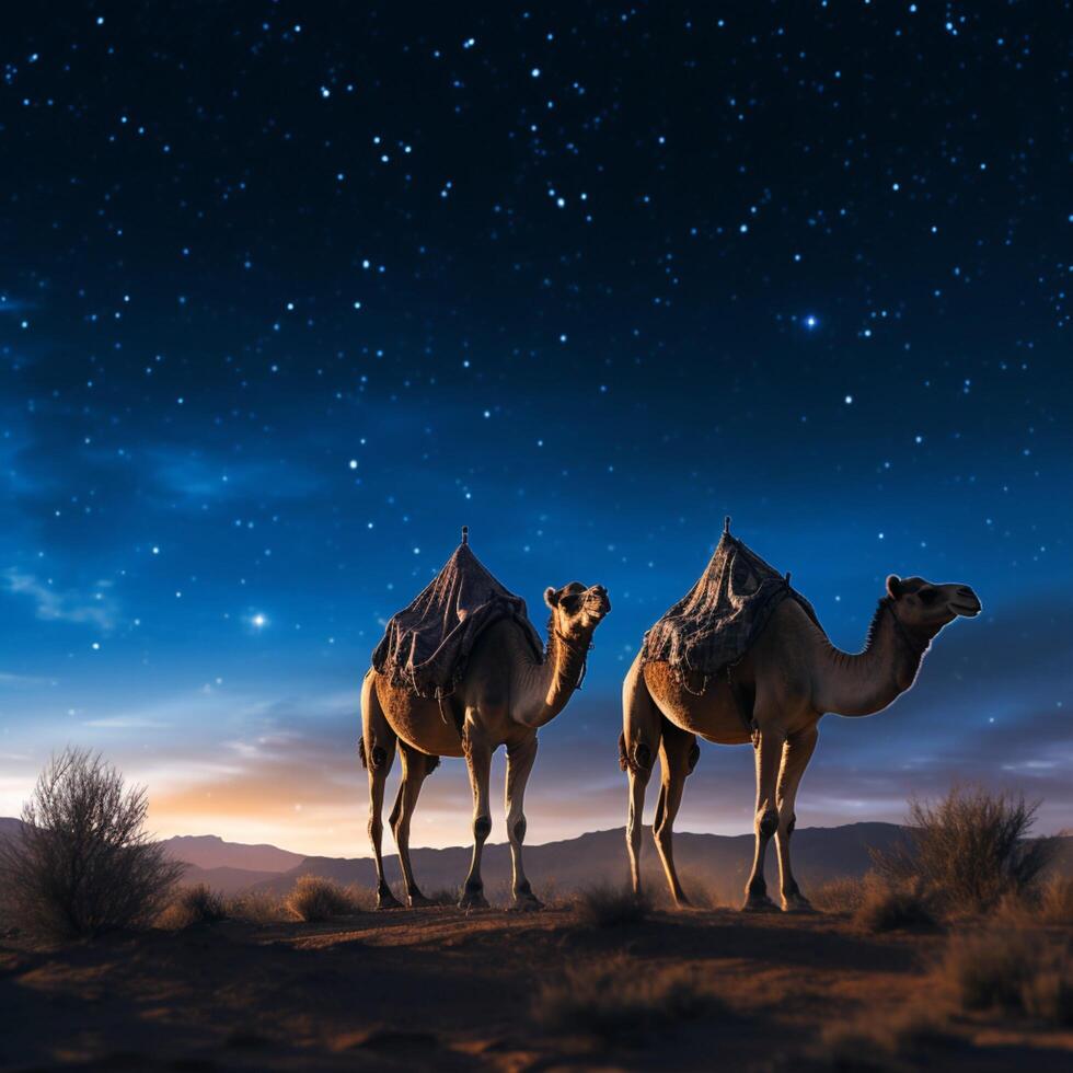 ai gegenereerd avond reis twee kamelen tegen een boeiend sterrenhemel lucht backdrop voor sociaal media post grootte foto