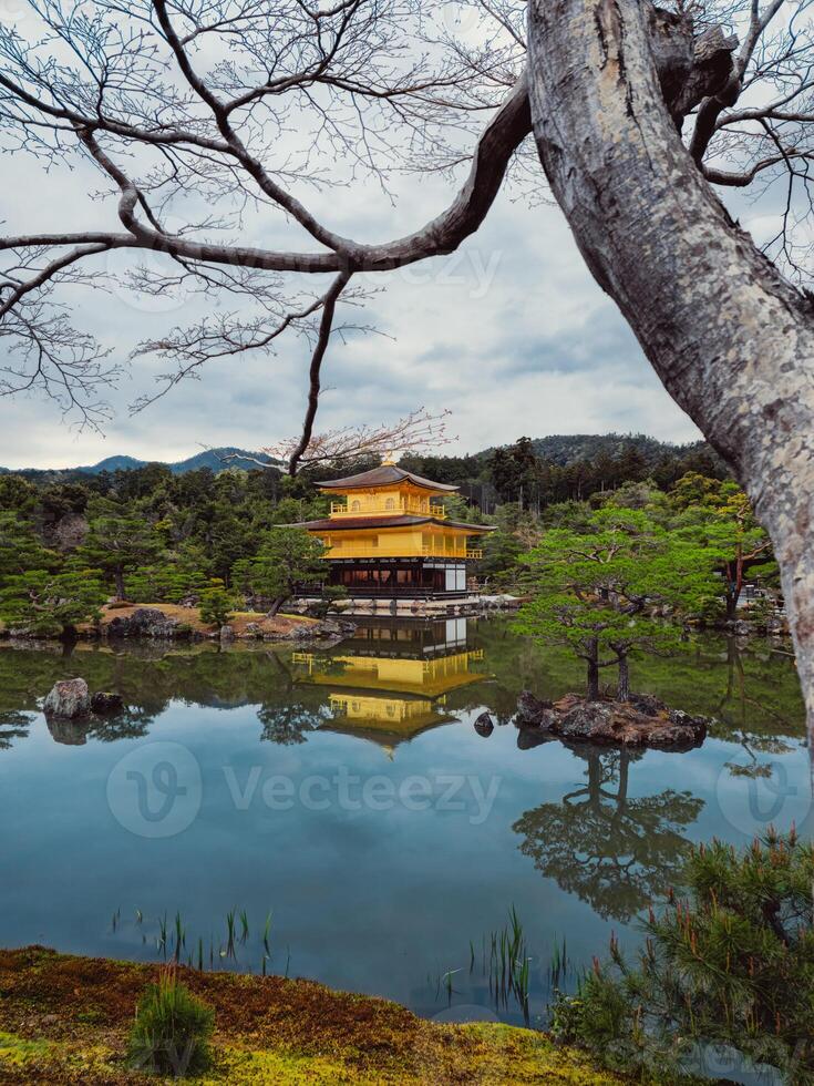 lucht reflectie in de water onder de tempel foto