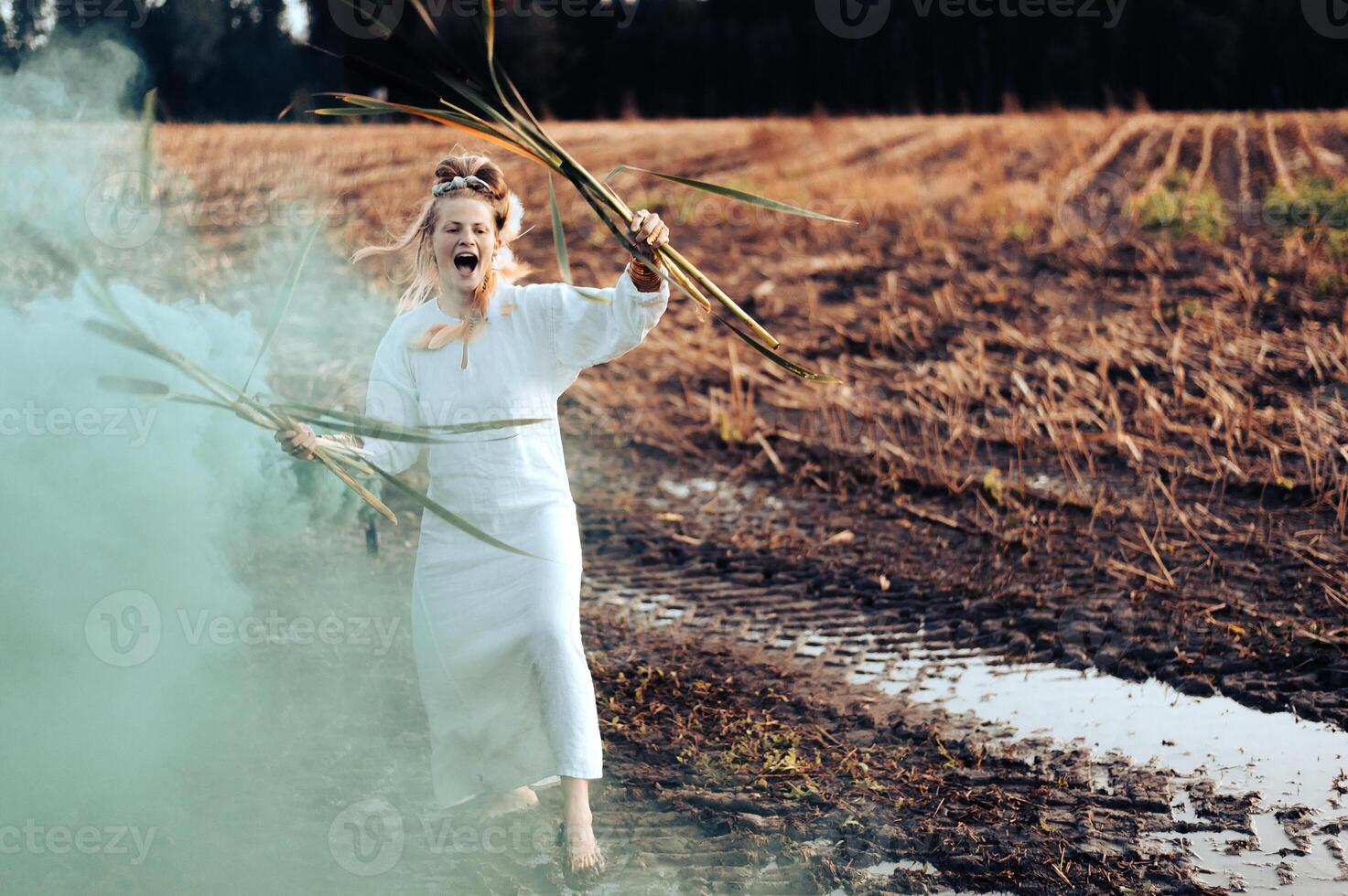 vrolijk jong vrouw met riet dansen in gekleurde rook in een veld- foto