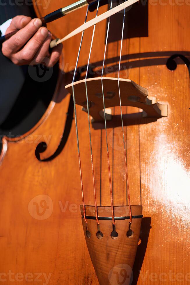 de dubbele bas strings gips een schaduw Aan de glad oppervlakte van de instrument foto