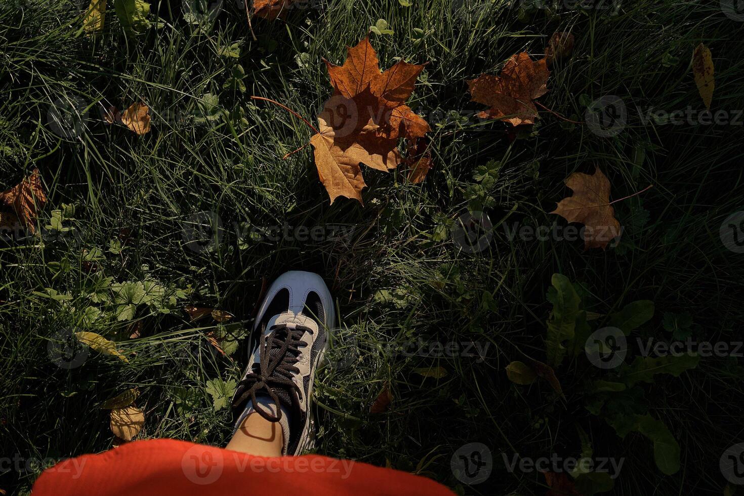 vrouw voet in een sneaker tegen een achtergrond van groen gras en oranje bladeren foto