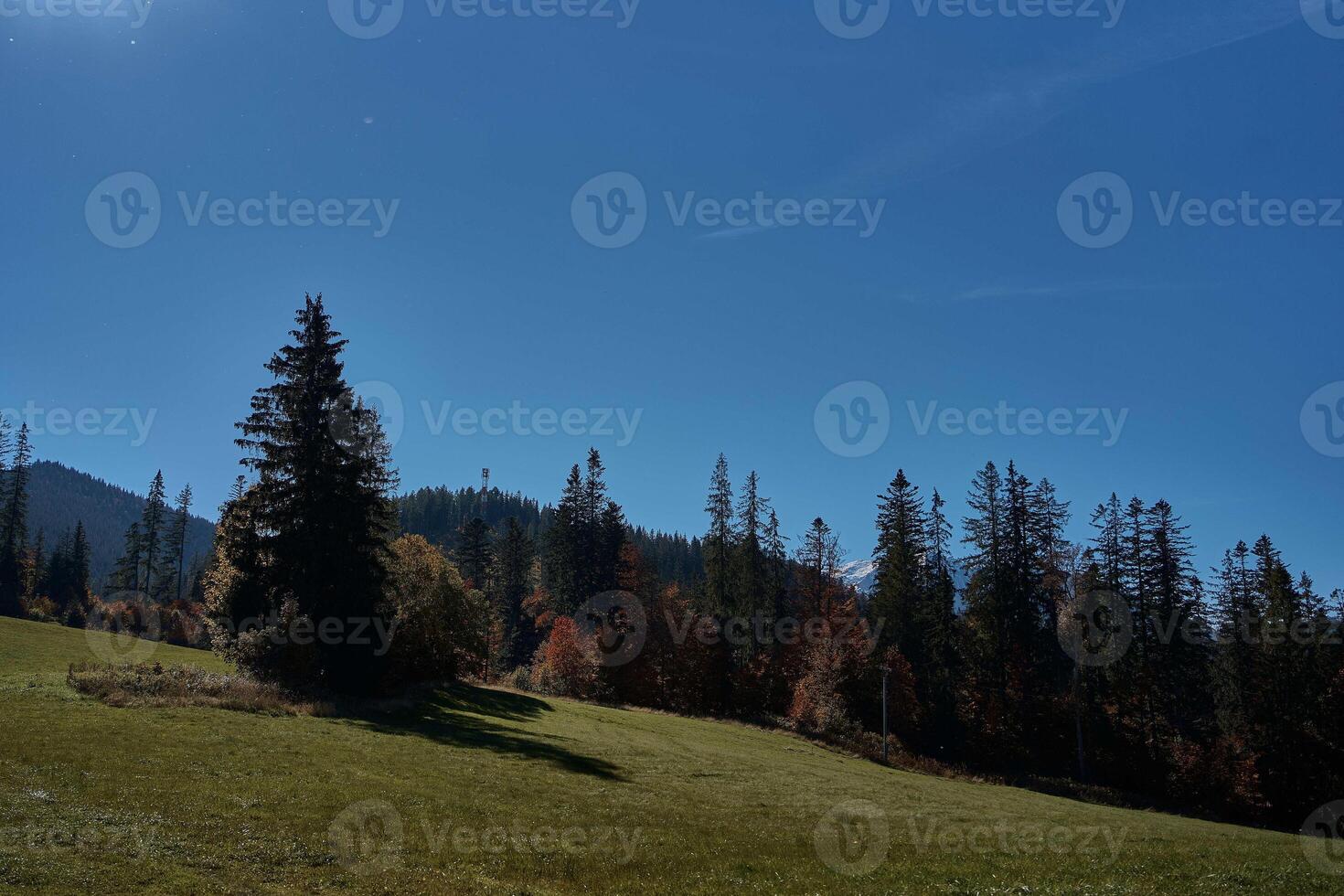 visie van de herfst bergen in Slowakije foto