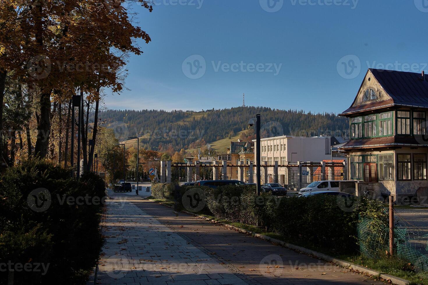 straat in zakopane met uitzicht de herfst bergen foto