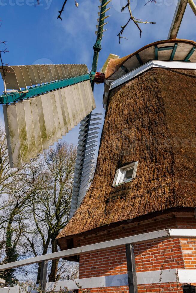 windmolen in Oost-Friesland foto