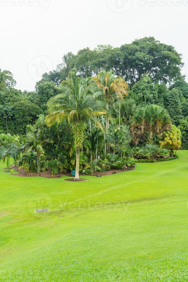 singapur tuinen in Azië foto