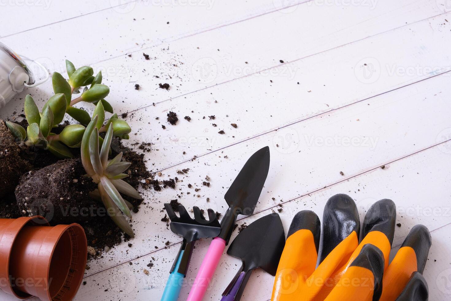 huis tuinieren concept. huis planten en de bodem, potten en tuinieren gereedschap vlak leggen, top visie foto