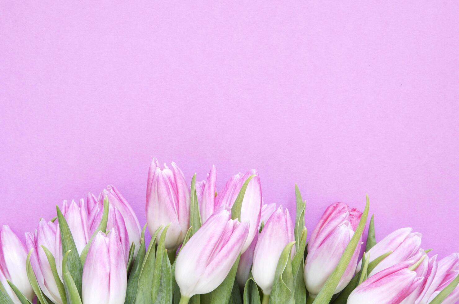 bloemen achtergrond met tulpen bloemen. vlak leggen, top visie. lief groet kaart met tulpen voor moeders dag, bruiloft of gelukkig evenement foto