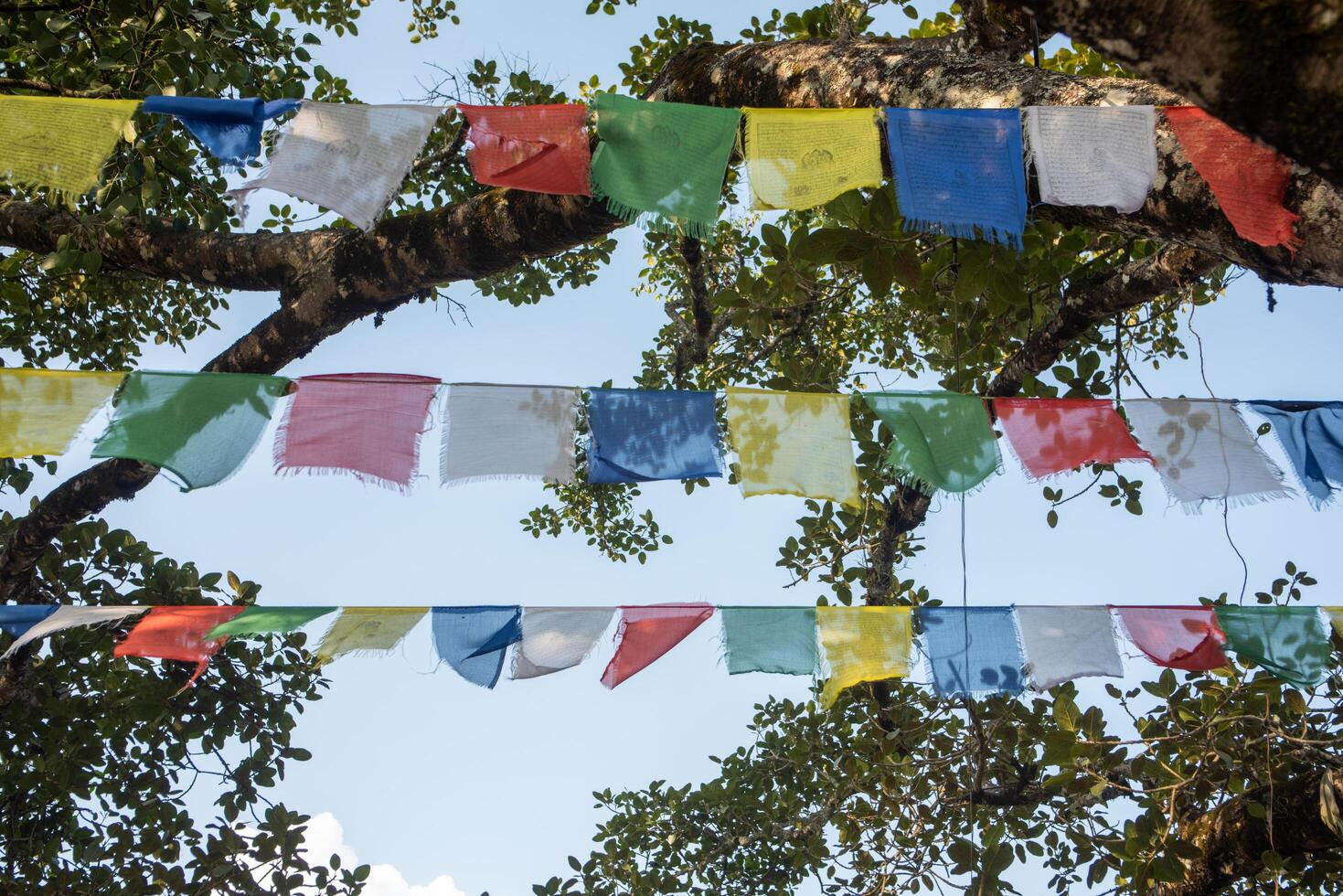 authentiek boeddhistisch gebed vlaggen foto