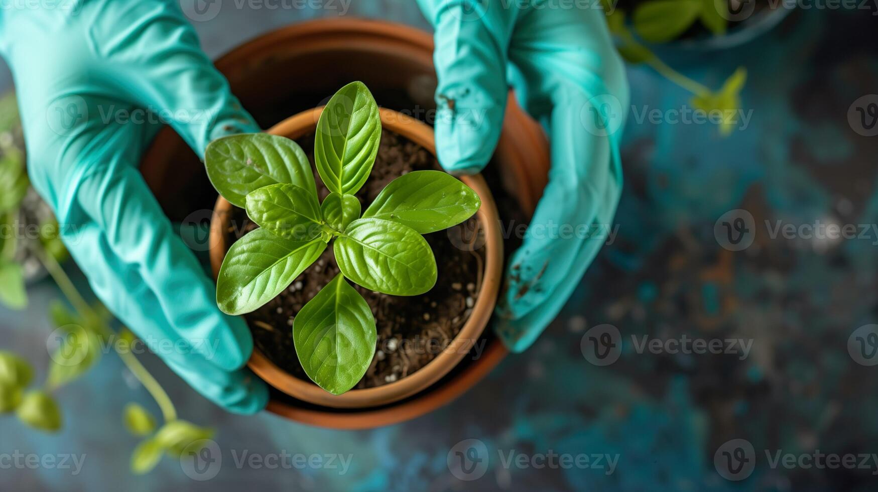 ai gegenereerd detailopname van handen in blauw handschoenen aanplant of zorgzaam voor jong groen fabriek in pot. tuinieren tips, fabriek zorg, milieu behoud achtergrond. foto