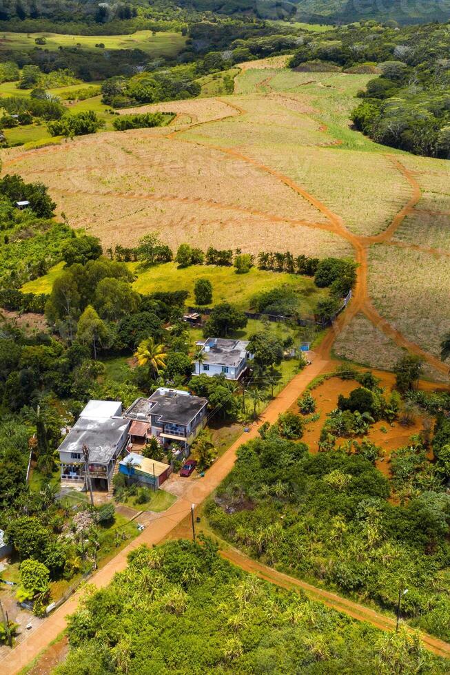 vogelperspectief visie van de bergen en velden van de eiland van mauritius.landschappen van Mauritius. foto