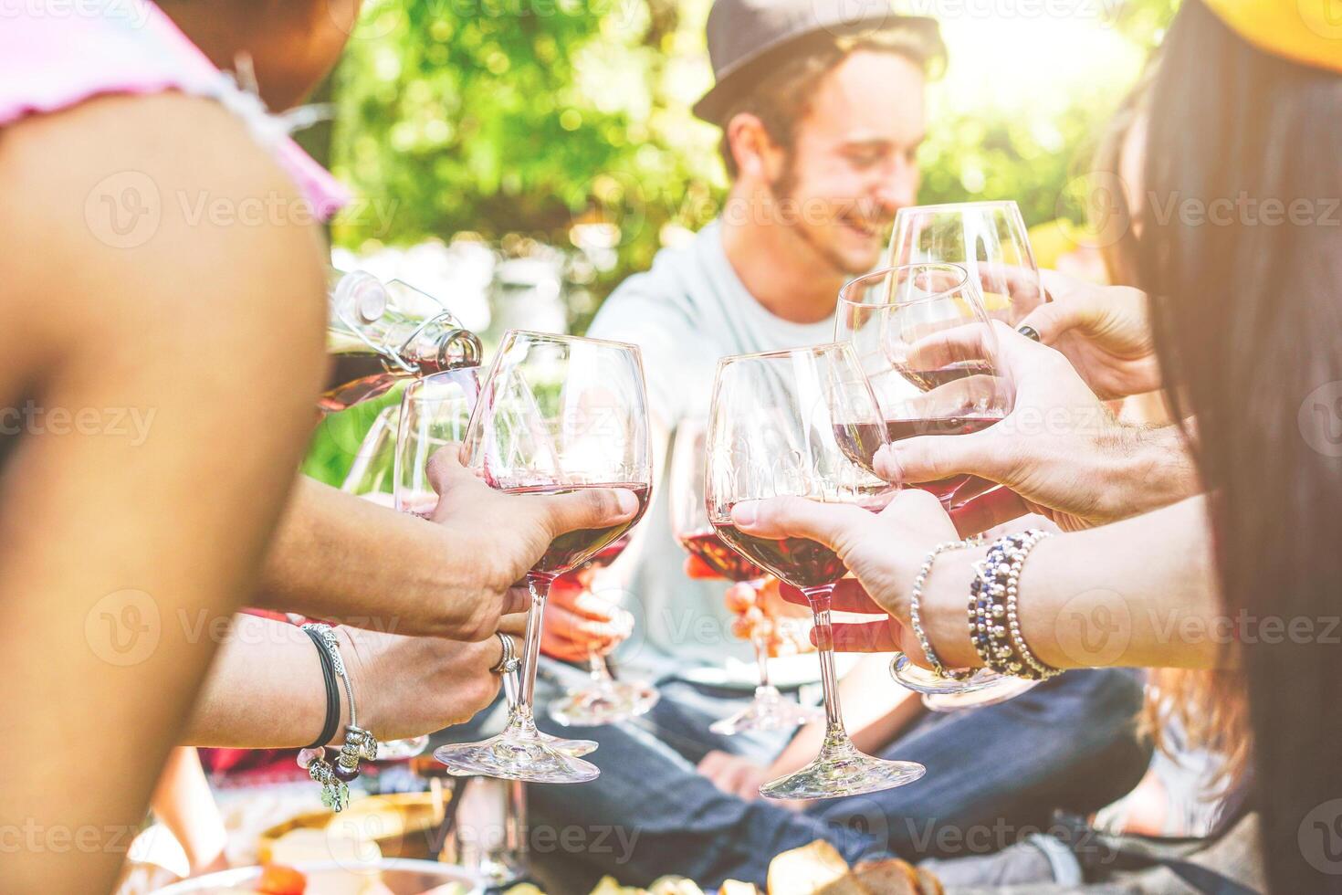 jong gelukkig vrienden juichen en hebben pret samen in een picknick Bij achtertuin - groep van mensen roosteren met rood wijn bril - concept van grappig vergadering personen - focus Aan bril foto