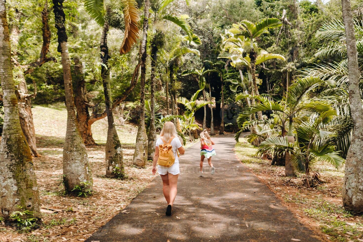 toeristen wandelen langs de Laan met groot palm bomen in de pamplemousse botanisch tuin Aan de eiland van Mauritius foto