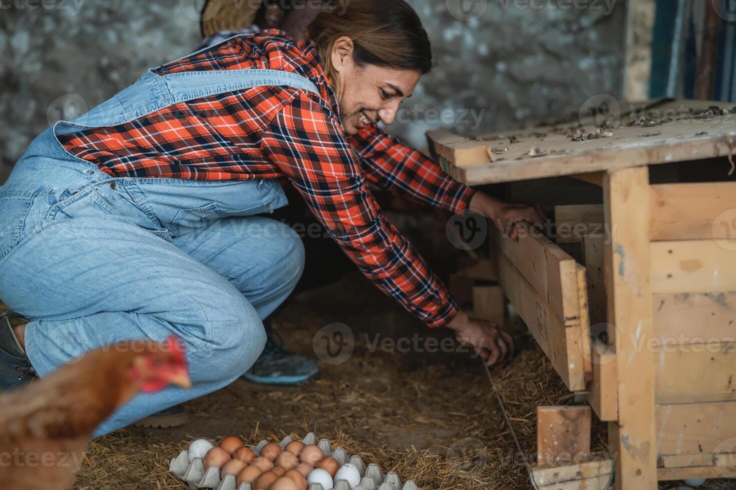 volwassen vrouw boer plukken omhoog vers eieren in kippenhok - boerderij mensen levensstijl concept foto
