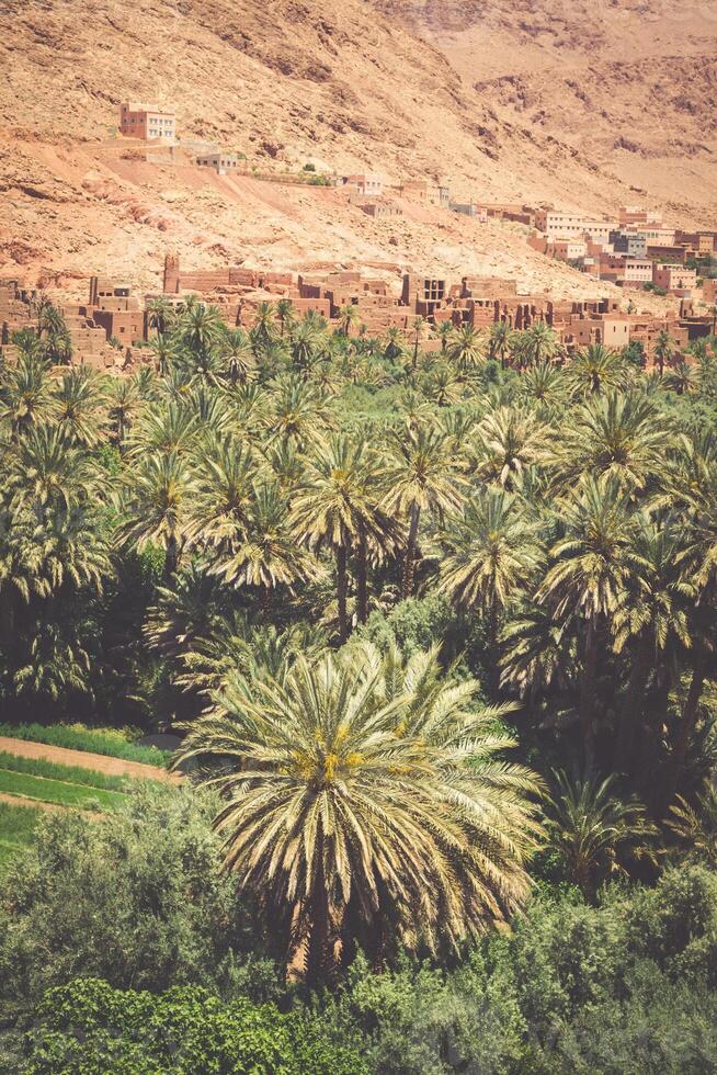 tinerhir dorp in de buurt georges todra Bij Marokko foto