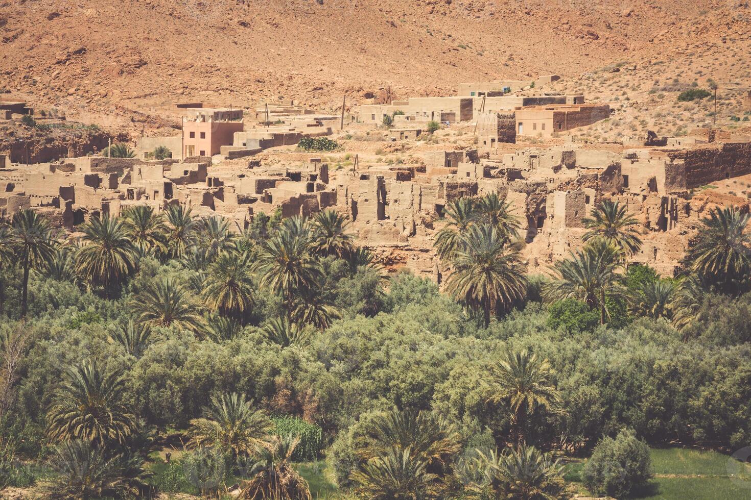 breed visie van gecultiveerd velden en palmen in errachidia Marokko noorden Afrika Afrika, diep blauw lucht foto