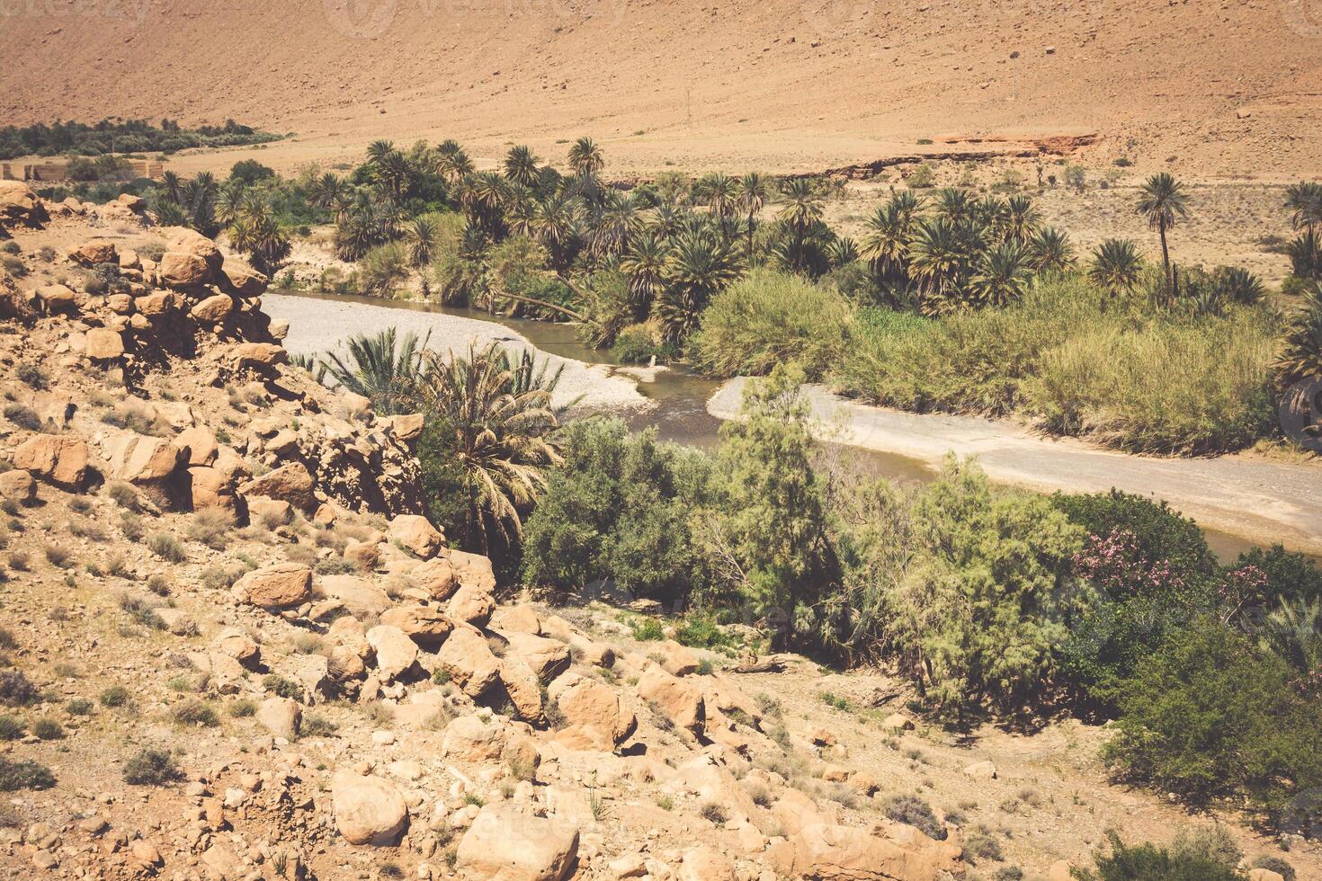 breed visie van gecultiveerd velden en palmen in errachidia Marokko noorden Afrika Afrika, diep blauw lucht foto