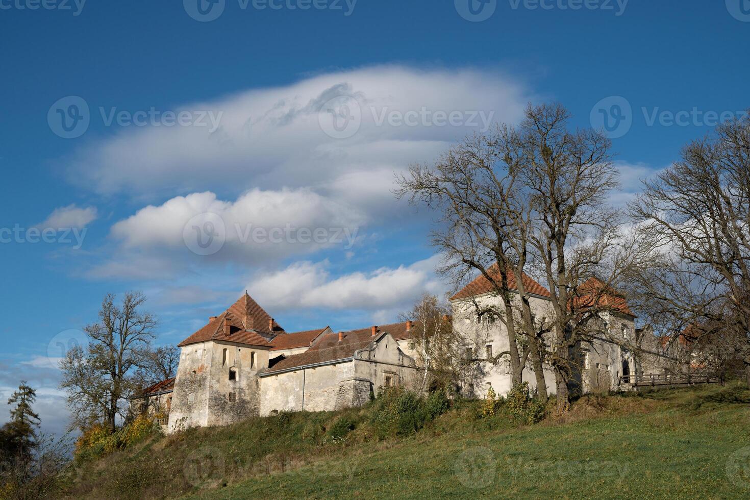 mooi landschap van de kasteel Aan de heuvel in Oekraïne in de dorp van svirzh foto