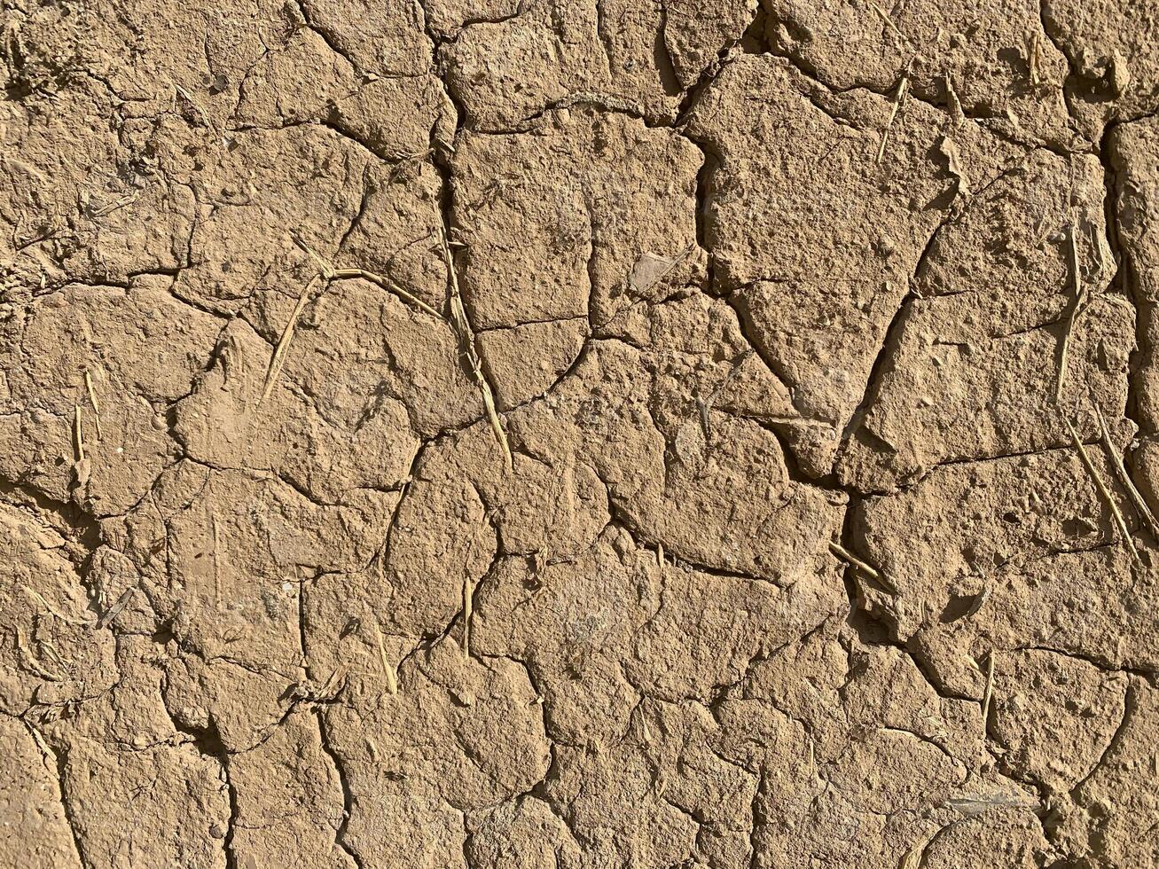 droge gebarsten aarde textuur foto