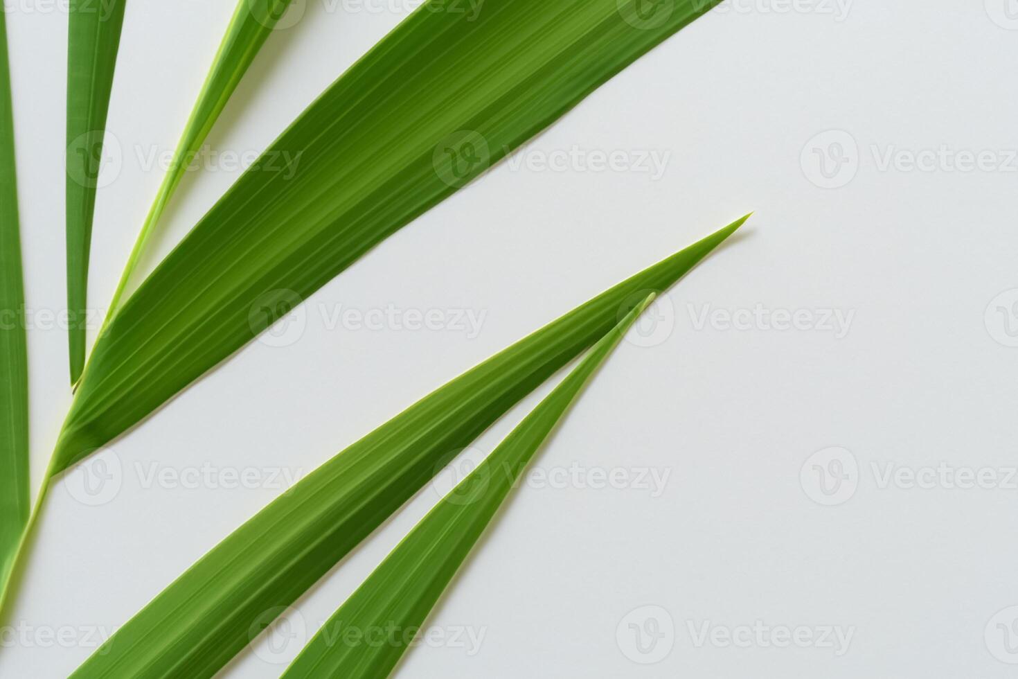 een culinaire odyssee met de mooi pandan blad, infuseren delicaat aroma's en levendig groen tinten in voortreffelijk borden, verheffen smaak profielen met van de natuur vers elegantie foto